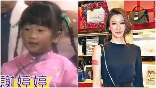 妹妹节目爆料视频大全在线观看,揭秘幕后真相，精彩瞬间回顾